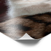 Cute Kitten Foto Afdruk (Hoek)