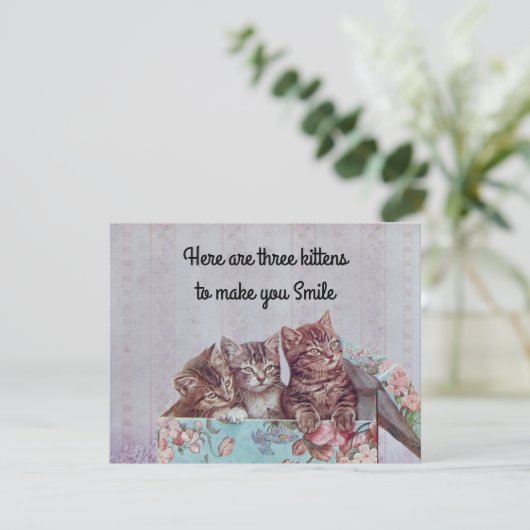  Cute Kitten Get Well Card Bedankkaart (Staand voorkant)