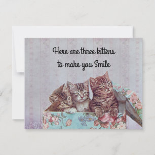  Cute Kitten Get Well Card Bedankkaart
