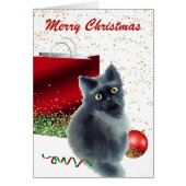 Cute Kitten gevangen in de kerstkaart van de Akte (Voorkant)