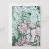 Cute Kitten Girl Baby shower Kaart (Achterkant)