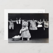 Cute Kitten Hanging Laundry Briefkaart (Voorkant / Achterkant)