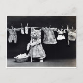 Cute Kitten Hanging Laundry Briefkaart (Voorkant)