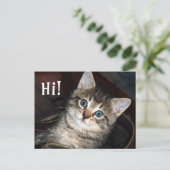 Cute Kitten Hi!  Briefkaart (Staand voorkant)