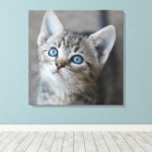 Cute Kitten in de tuin Canvas Afdruk (Insitu (Houten vloer))