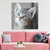 Cute Kitten in de tuin Canvas Afdruk (Insitu (Woonkamer))