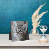 Cute Kitten in de tuin Fotoplaat (Insitu)