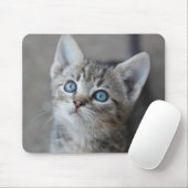 Cute Kitten in de tuin Muismat (Met muis)