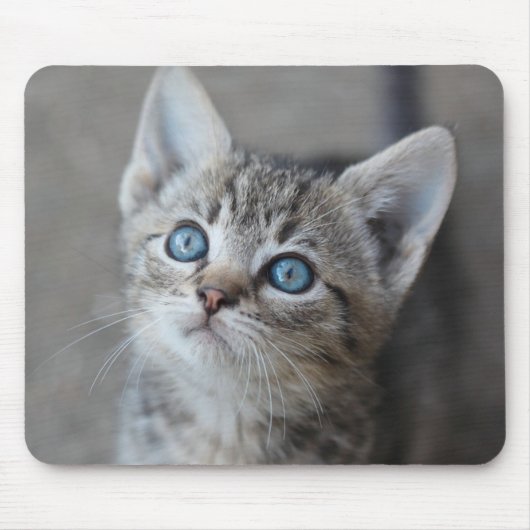 Cute Kitten in de tuin Muismat (Voorkant)