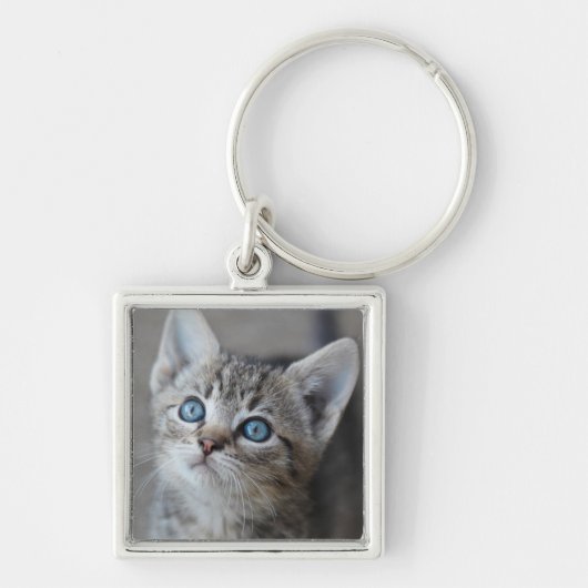 Cute Kitten in de tuin Sleutelhanger (Voorkant)