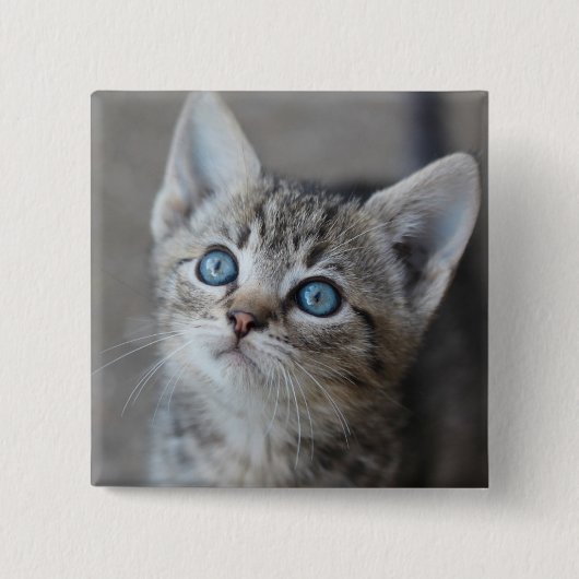 Cute Kitten in de tuin Vierkante Button 5,1 Cm (Voorkant)