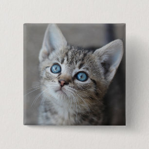 Cute Kitten in de tuin Vierkante Button 5,1 Cm