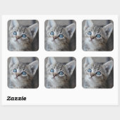 Cute Kitten in de tuin Vierkante Sticker (Vel)