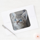 Cute Kitten in de tuin Vierkante Sticker (Envelop)