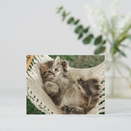 Cute Kitten in Hammock Briefkaart (Staand voorkant)