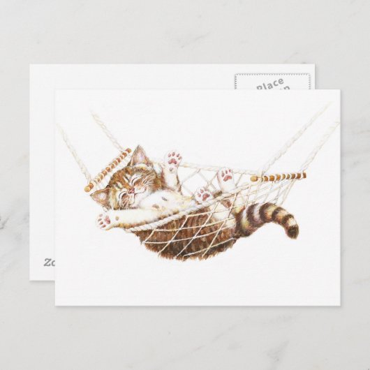 Cute kitten in hammock briefkaart (Voorkant / Achterkant)