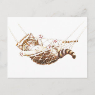 Cute kitten in hammock briefkaart
