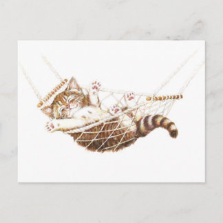 Cute kitten in hammock briefkaart