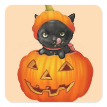 Cute kitten in pompoen Halloween