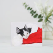 Cute Kitten in Santa Hat Briefkaart (Staand voorkant)