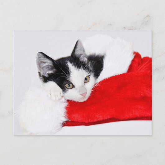 Cute Kitten in Santa Hat Briefkaart (Voorkant)