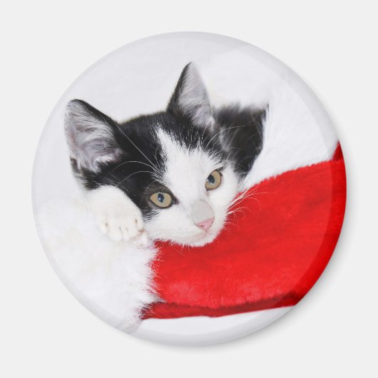 Cute Kitten in Santa Hat Magneet (Voorkant)