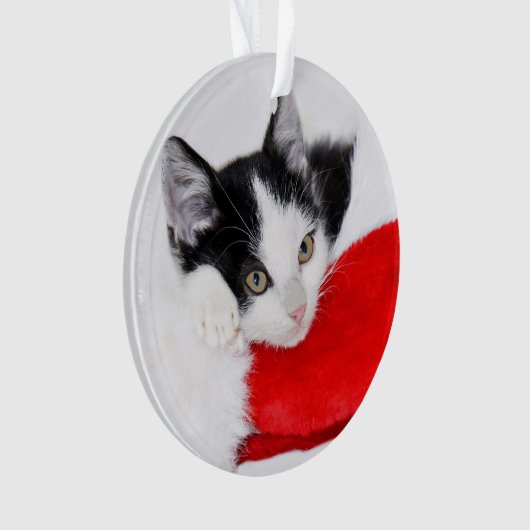 Cute Kitten in Santa Hat Ornament (voorkant)