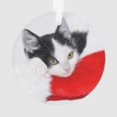 Cute Kitten in Santa Hat Ornament (achterkant)