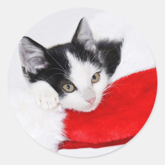 Cute Kitten in Santa Hat Ronde Sticker (Voorkant)