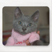 Cute Kitten in Sweater Muismat (Voorkant)