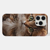 Cute Kitten iPhone Hoesje (Achterkant horizontaal)