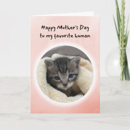Cute Kitten Je bent mijn favoriete menselijke Moed Kaart