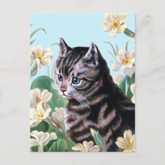 Cute kitten - kattenkunst briefkaart (Voorkant)