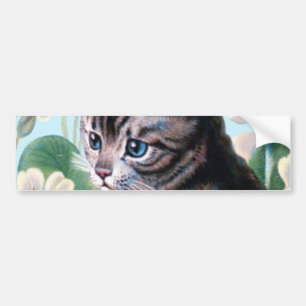 Cute kitten -  kattenkunst bumpersticker