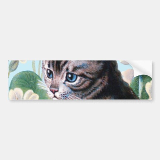 Cute kitten - kattenkunst bumpersticker (Voorkant)