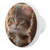 Cute Kitten Keramische Knop (Rechts)