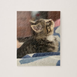 Cute Kitten   Laat deze afbeelding achter of voeg  Legpuzzel