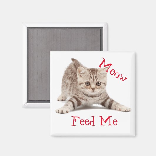 Cute Kitten Magneet (Voorkant / Achterkant)