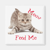 Cute Kitten Magneet (Voorkant)