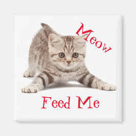 Cute Kitten Magneet