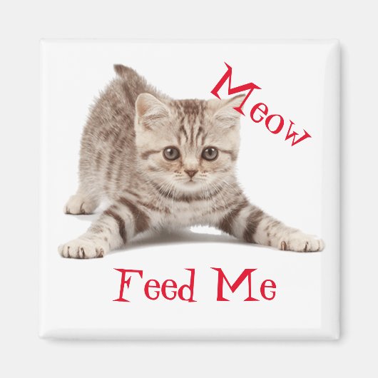 Cute Kitten Magneet (Voorkant)