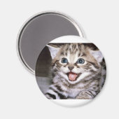 Cute Kitten Magneet (Voorkant / Achterkant)
