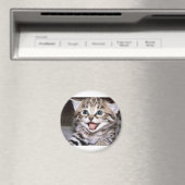 Cute Kitten Magneet (Insitu (Vaatwasser))