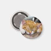 Cute Kitten Magneet (Voorkant / Achterkant)