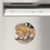 Cute Kitten Magneet (Insitu (Vaatwasser))