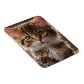 Cute Kitten Magneet (Rechterzijde)