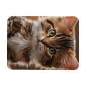 Cute Kitten Magneet (Horizontaal)