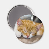 Cute Kitten Magneet (Voorkant / Achterkant)