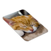 Cute Kitten Magneet (Rechterzijde)