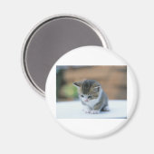 Cute Kitten Magneet (Voorkant / Achterkant)